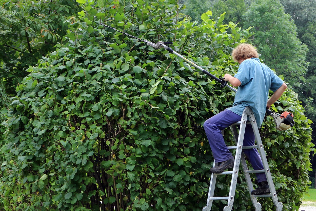 Pruning Trees Is Important